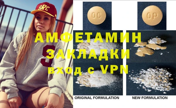 шишки Белокуриха