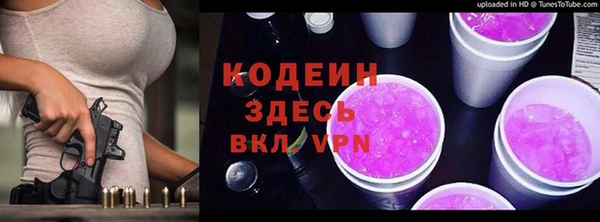 шишки Белокуриха