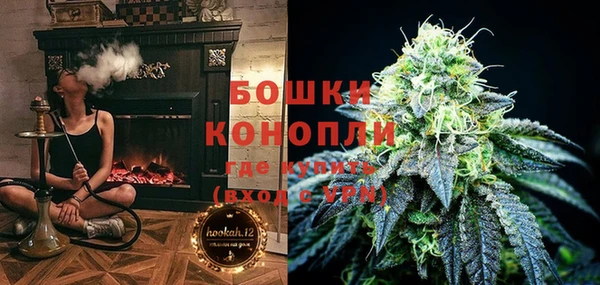 ГАЛЛЮЦИНОГЕННЫЕ ГРИБЫ Баксан