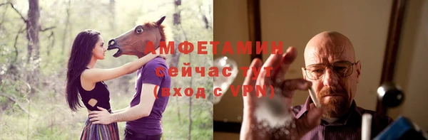 шишки Белокуриха