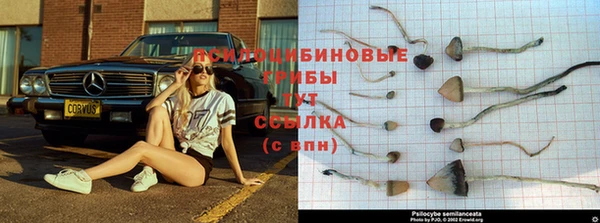 MESCALINE Пересвет