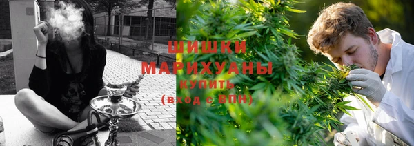 ГАЛЛЮЦИНОГЕННЫЕ ГРИБЫ Баксан