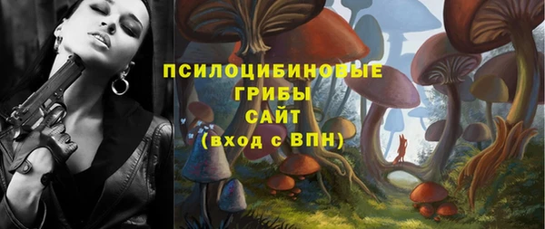 ГАЛЛЮЦИНОГЕННЫЕ ГРИБЫ Баксан
